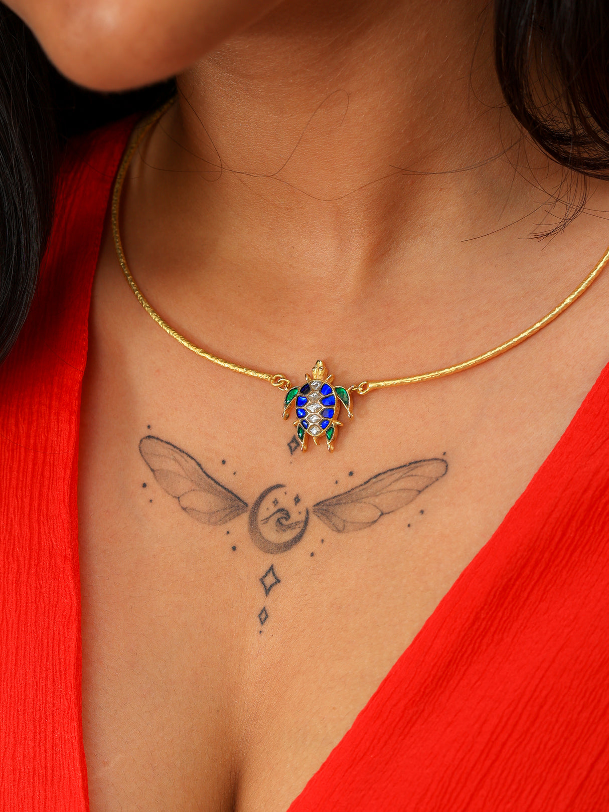 Aarambh tortoise Hasli