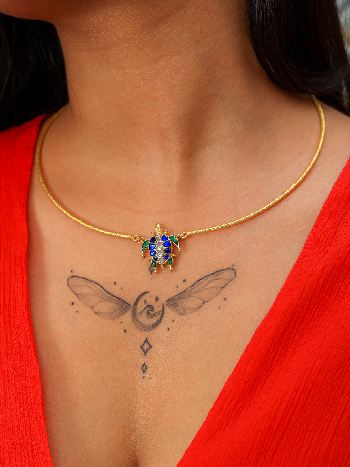 Aarambh tortoise Hasli