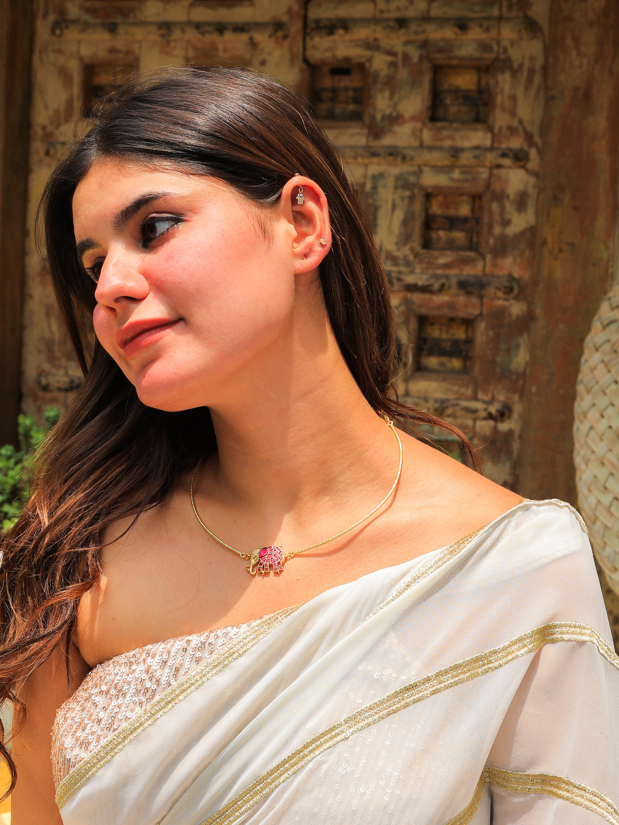 Gajlekh ruby elephant hasli