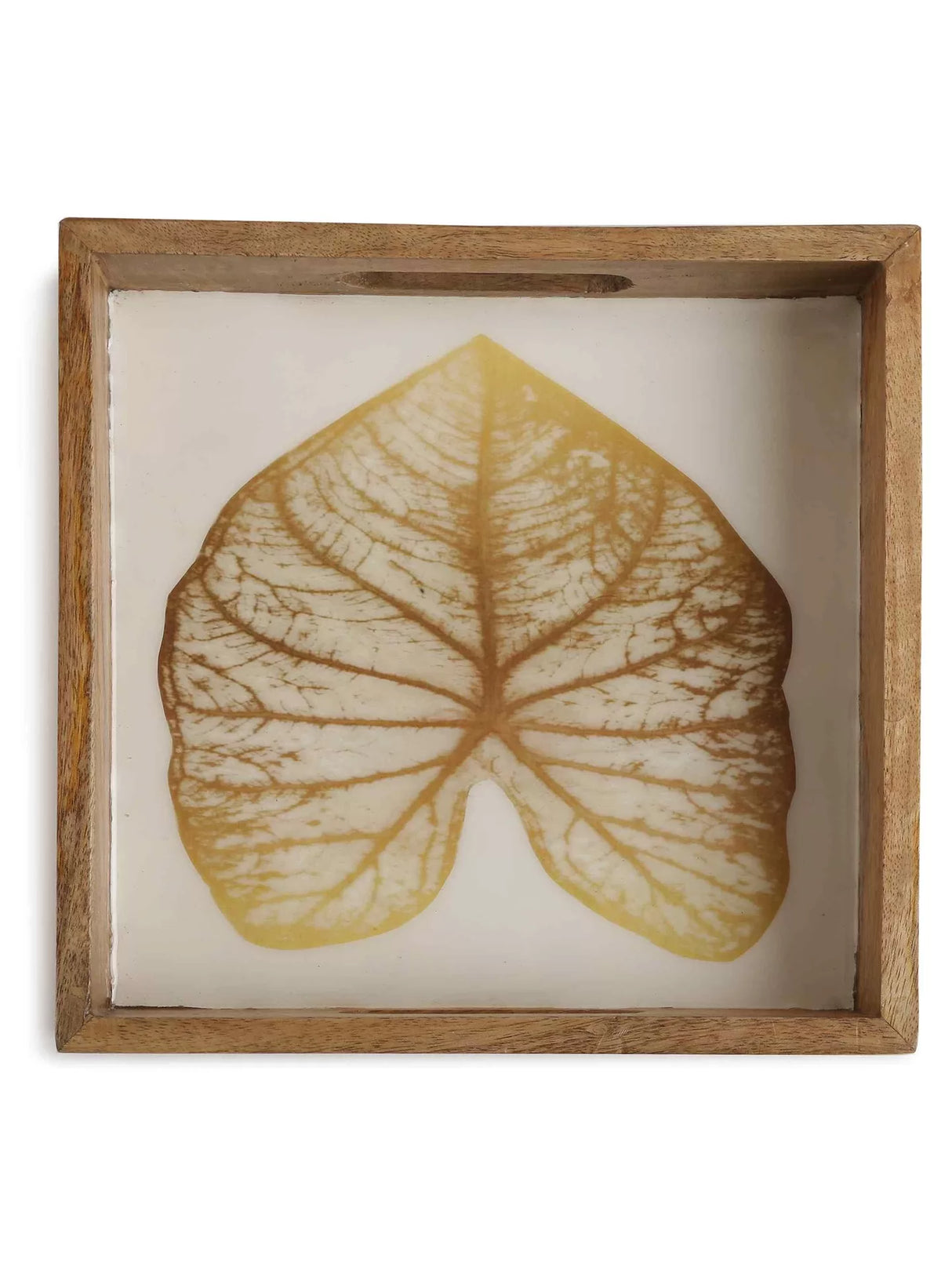 Tray - Mango Wooden In Enamel Finish With Gold Leaf Design