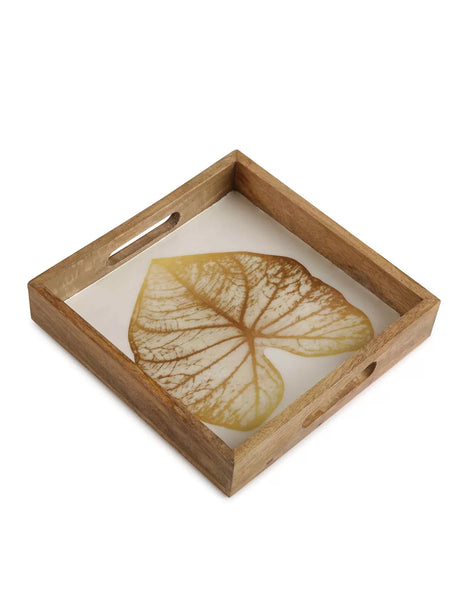 Tray - Mango Wooden In Enamel Finish With Gold Leaf Design