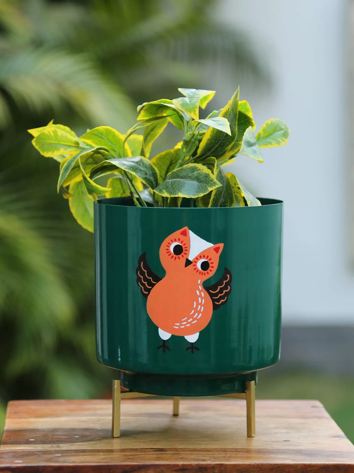 Owl Design Hand Painted Planter - Green