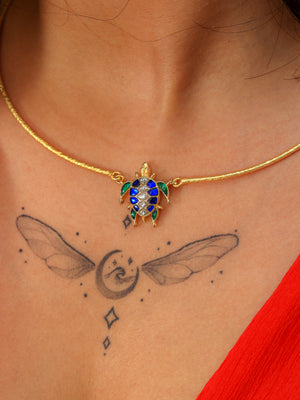 Aarambh tortoise Hasli