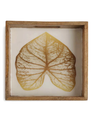 Tray - Mango Wooden In Enamel Finish With Gold Leaf Design