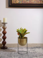 Metal Planter - Brass Look With Iron Stand